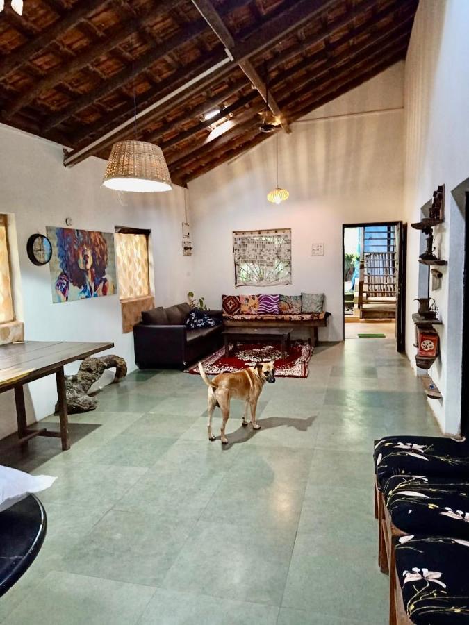 The Wild Flower! Anjuna Exterior photo